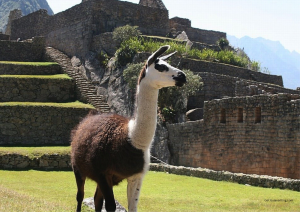 PERU
