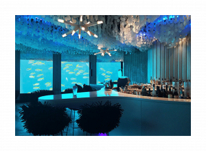 Subsix Maldives’ under the sea bar and restaurants.
